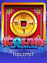 Coins Of Fortune